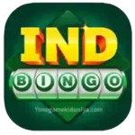 IND Bingo